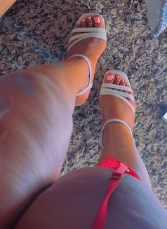 Velvet Mistress - dominatrix in Cairo Photo 6 of 8