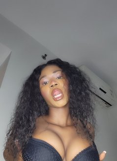 Velvet Sexxyy Daisy - escort in Dubai Photo 1 of 1