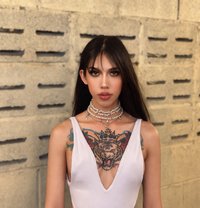 Vene - Transsexual escort in Riyadh Photo 12 of 14