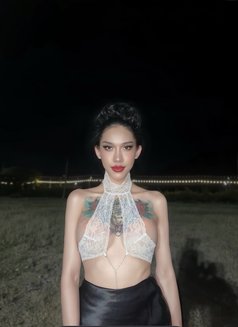 Vene - Transsexual escort in Riyadh Photo 14 of 14