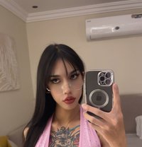 Vene - Transsexual escort in Riyadh
