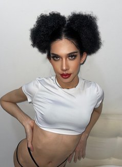 Vene Venita - Transsexual escort in Al Manama Photo 13 of 14