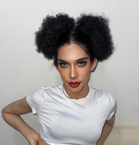 Vene Venita - Transsexual escort in Al Manama Photo 14 of 14