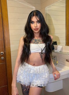 Vene Venita - Transsexual escort in Al Manama Photo 14 of 15