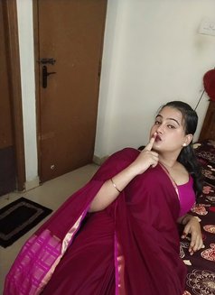 Vennila shemale ladyboy active cock&BObS - Transsexual escort in Chennai Photo 2 of 23