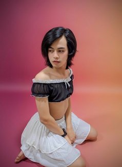 Venus 69 - escort in Doha Photo 7 of 8