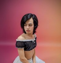 Venus 69 - puta in Doha