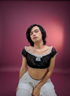 Venus 69 - escort in Doha Photo 8 of 8