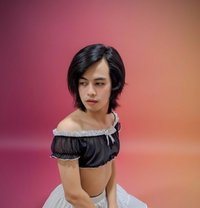 Venus 69 - masseuse in Doha