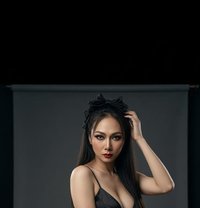 Venus both Thailand 🇸🇦 - Transsexual escort in Riyadh Photo 5 of 8