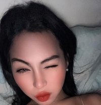 Venus - Acompañantes transexual in Manila