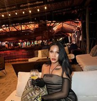 Venus Hottie Sexy - Transsexual escort in Koh Phangan