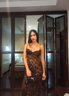 Venus Natalie - Acompañantes transexual in  Koh Phangan Photo 6 of 7