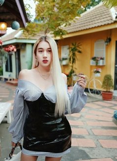 Venus Natalie - Transsexual escort in  Koh Phangan Photo 22 of 22