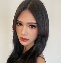 Venus Ohana - Acompañantes transexual in Bangkok