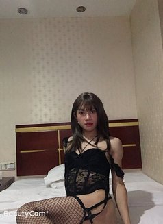 venus sexy - Transsexual escort in Macao Photo 4 of 17