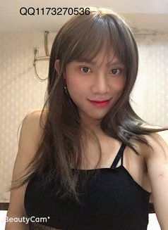 venus sexy - Transsexual escort in Macao Photo 5 of 17