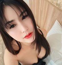 VeNus - Masajista in Taipei