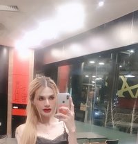 Venus - Transsexual escort in Bangkok