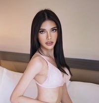 Venusangel - Transsexual escort in Bangkok