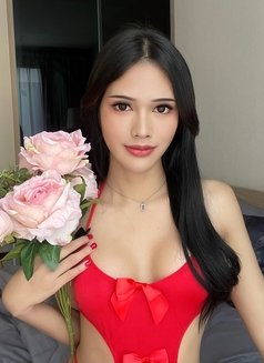 Venusohana88 - Transsexual escort in Bangkok Photo 1 of 10