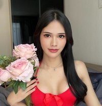 Venusohana88 - Transsexual escort in Bangkok