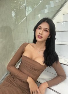 Venusts - Acompañantes transexual in Bangkok Photo 10 of 10