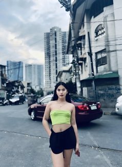 Venuz De Luna - Transsexual escort in Manila Photo 11 of 18