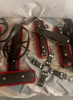 Vero in Anna Nagar - puta in Chennai Photo 5 of 5