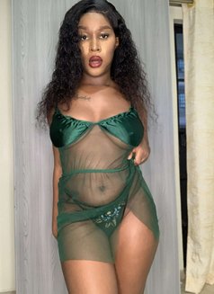 Veroni - escort in Dubai Photo 5 of 13
