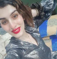 Veronica - Transsexual escort in New Delhi
