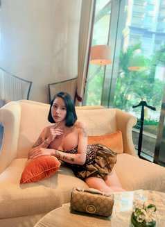 VERONICCA Aqila VVIP SERVICES - Transsexual escort in Jakarta Photo 11 of 18