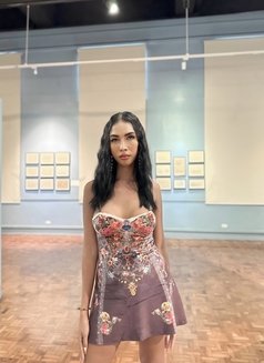 Veronika. (BDSM, Fetishes, Fantasy) - escort in Singapore Photo 18 of 30