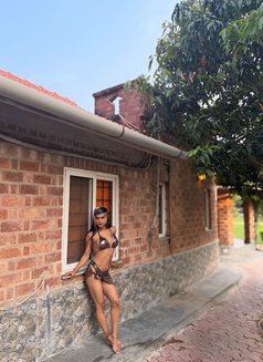 Veronika - Transsexual escort in New Delhi Photo 22 of 23