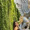 Veronika - escort in Bali Photo 4 of 6