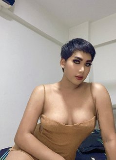 Vers Shemale NOWBACK - Acompañantes transexual in Dammam Photo 11 of 11