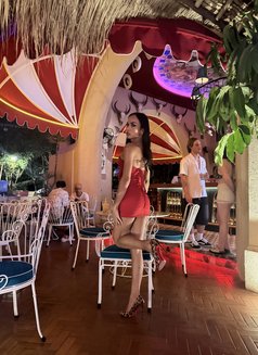 Vers TS cute party with hard dick - Transsexual escort in Bali Photo 17 of 17