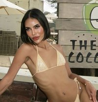 Versa Angel Energy - Transsexual escort in Bangkok Photo 6 of 29
