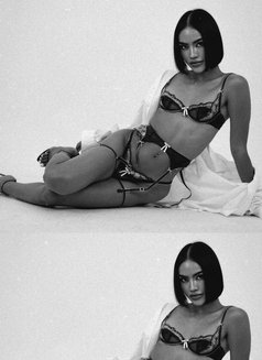 Versa Angel Energy - Transsexual escort in Bangkok Photo 29 of 30