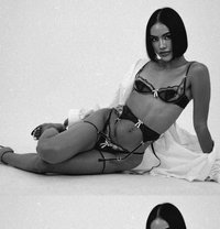 Versa Angel Energy - Transsexual escort in Bangkok