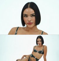 Versa Angel Energy - Transsexual escort in Bangkok Photo 30 of 30