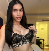 🇵🇭 Just arrived ladyboy 🇦🇪 - Transsexual escort in Dubai