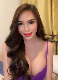 Versatile Anna Outcall&Incall - Acompañantes transexual in Manila Photo 27 of 30