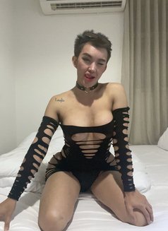 نادني سكينة Versatile Dick Big n Strong - Transsexual escort in Riyadh Photo 6 of 7