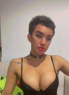 نادني سكينة Versatile Dick Big n Strong - Transsexual escort in Riyadh Photo 7 of 7