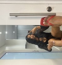 Versatile Ebony - Acompañantes transexual in Cape Town