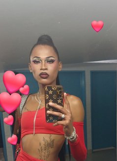 Versatile Gifted transgirl - Acompañantes transexual in Cape Town Photo 6 of 6