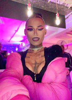 Versatile Gifted transgirl - Transsexual escort in Cape Town Photo 8 of 8