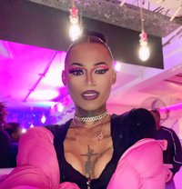 Versatile Gifted transgirl - Transsexual escort in Cape Town