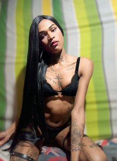 Versatile Gifted transgirl - Acompañantes transexual in Cape Town Photo 8 of 8